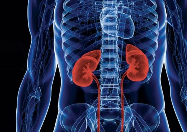 Importancia de la albuminuria en la prevención de enfermedades renales y cardiovasculares